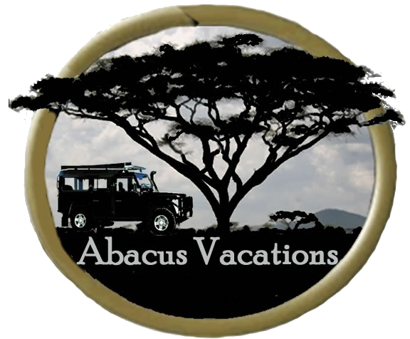 Image result for Abacus African Vacations