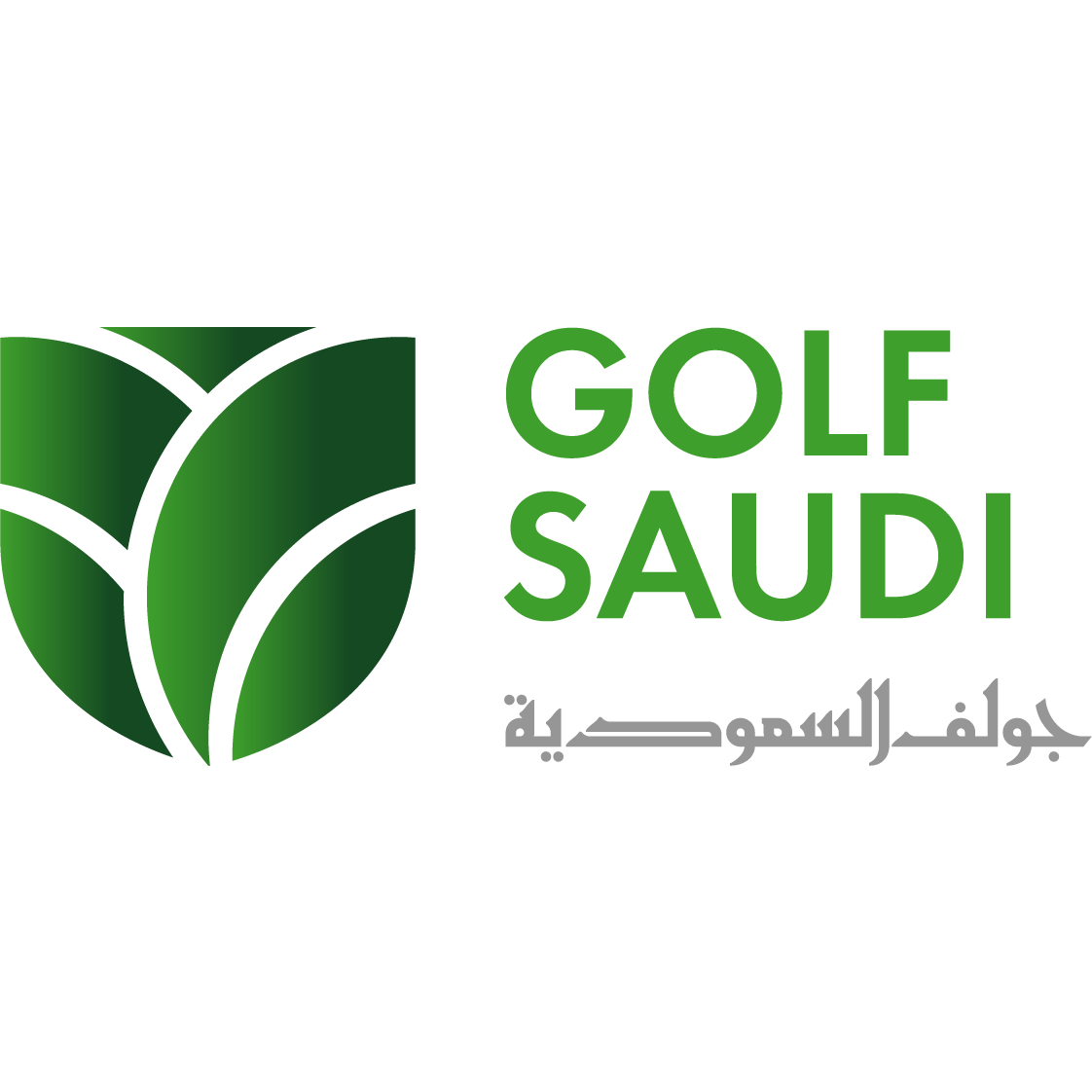 Image result for Golf Saudi