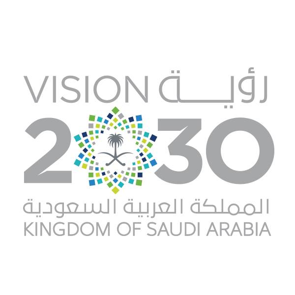 Image result for SaudiVision 2030