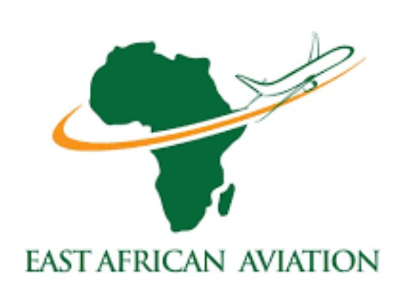 Image result for East African Aviation