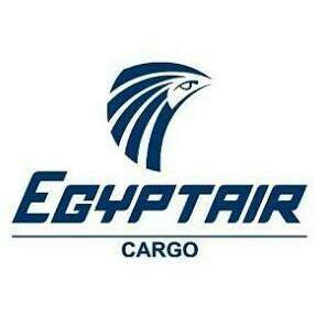 Image result for EgyptAir Cargo