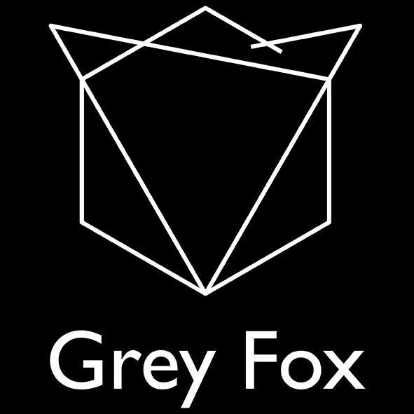 Image result for Grey Fox