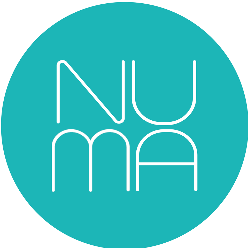 Image result for Numa Models