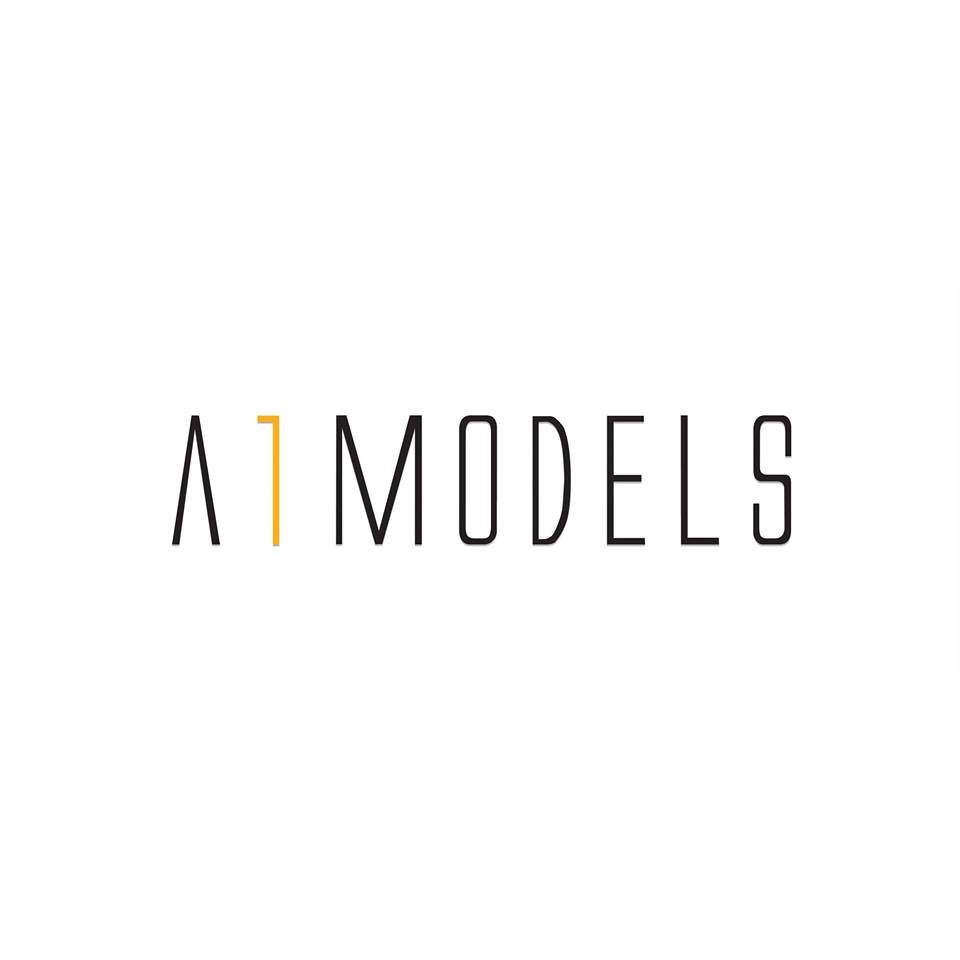 Image result for A1 Models