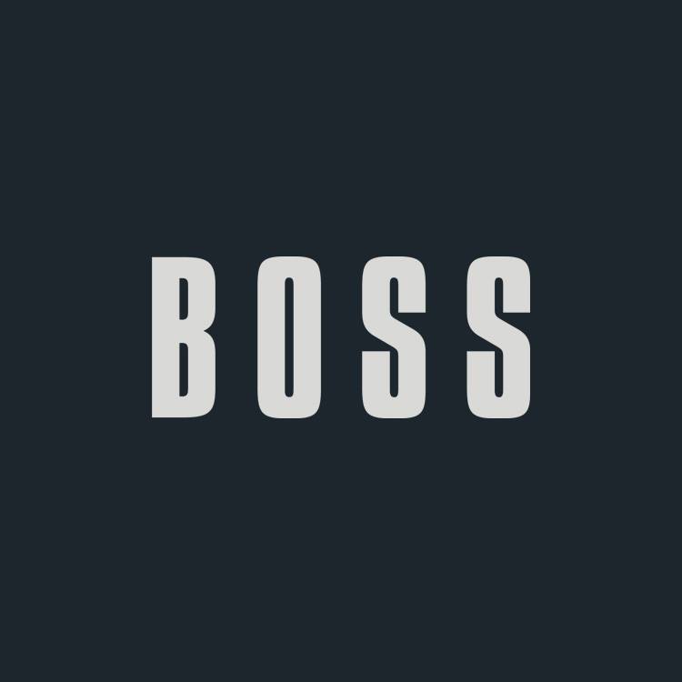 Image result for Boss Agencies Ltd