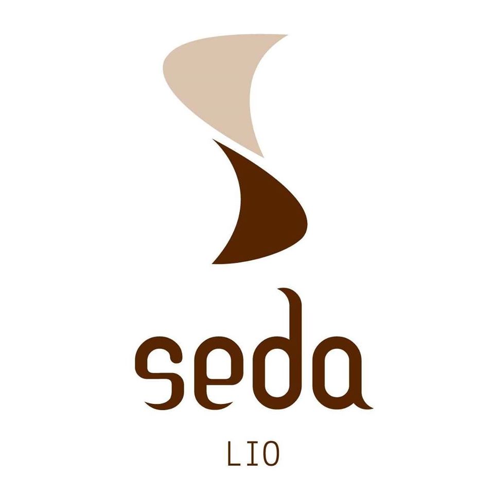 Image result for Seda Lio