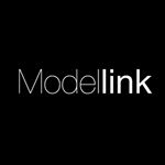 Image result for Modellink