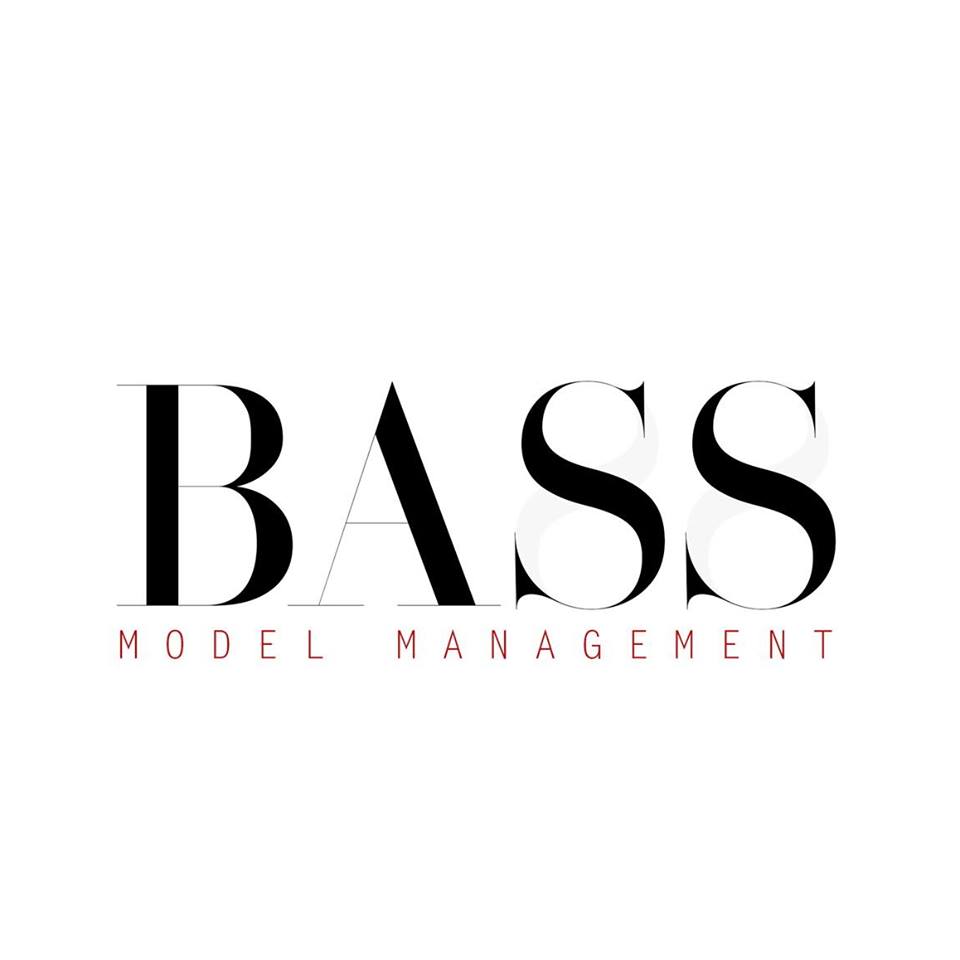 Image result for Bass Model Management