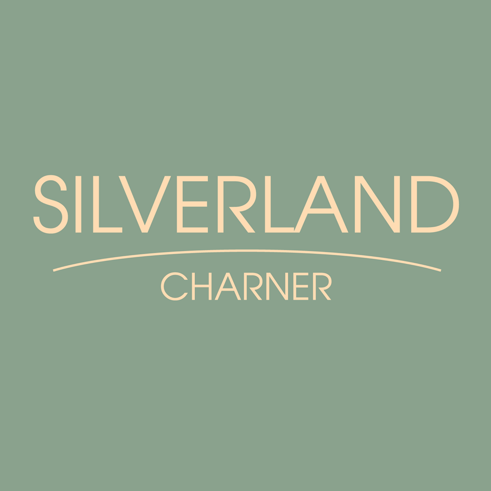 Image result for Silverland Charner Hotel