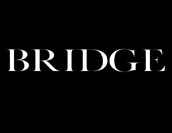 Image result for Bridge Models Limited