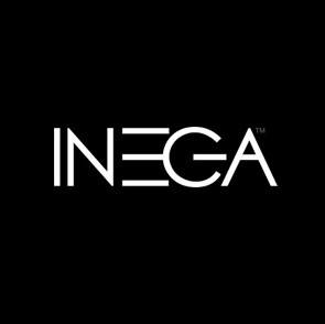 Image result for Inega