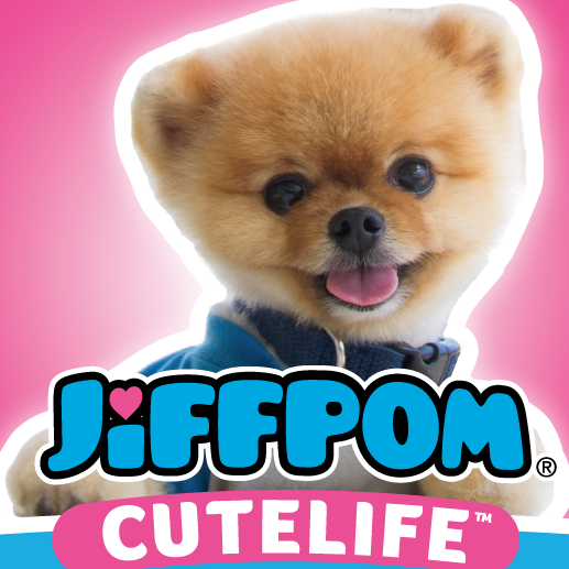 Image result for Jiffpom