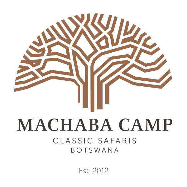 Image result for Machaba Camp