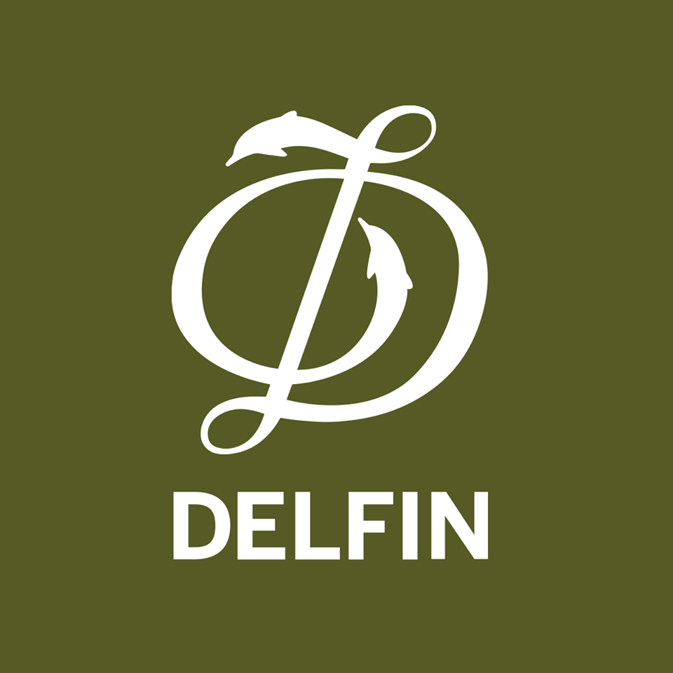 Image result for Delfin 2