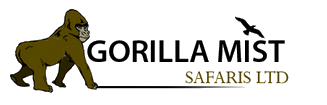 Image result for Gorilla Mist Safaris