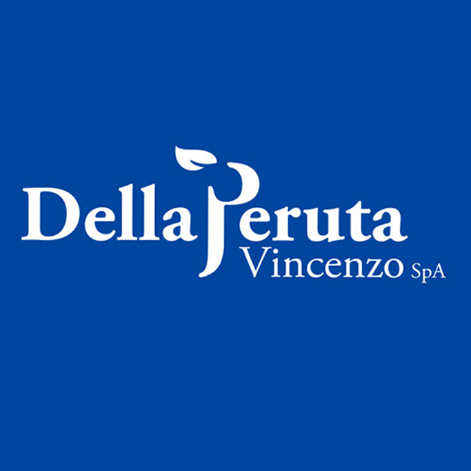 Image result for Della Peruta Vincenzo S.p.A.