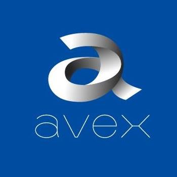 Image result for Avex Group Holdings Inc.