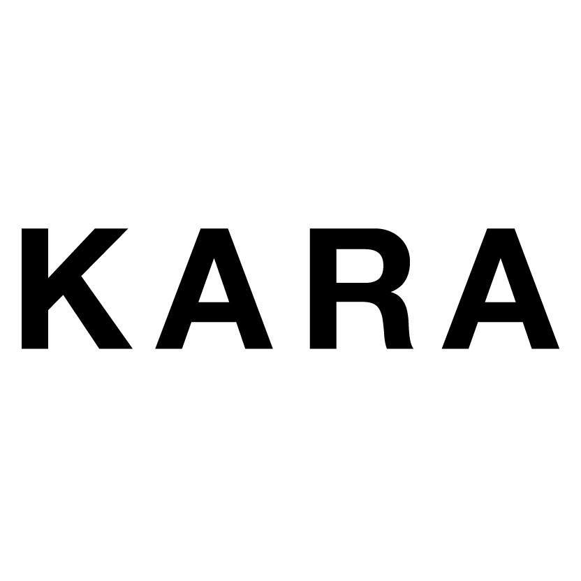 Image result for KARA