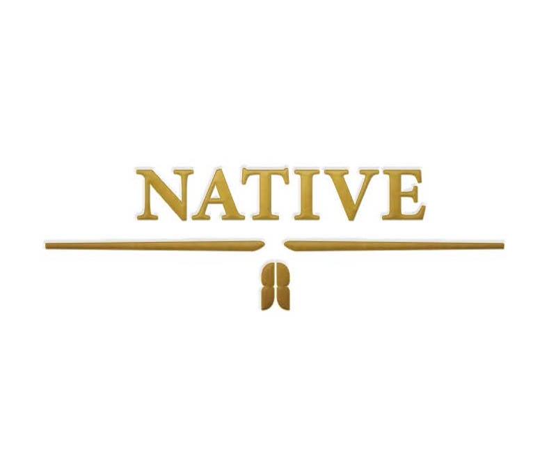 Image result for Native Dubai