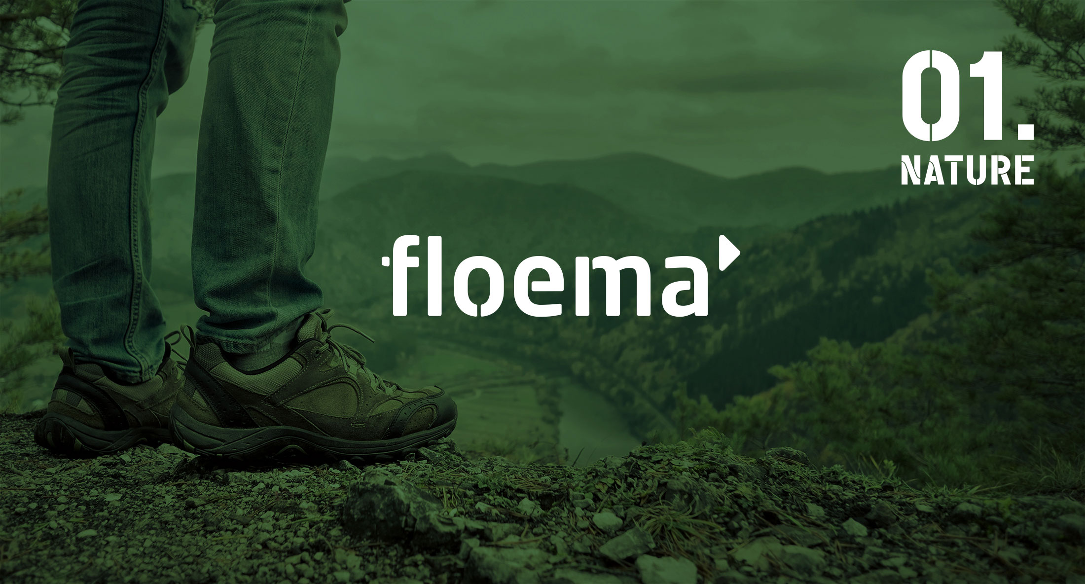 Image result for Floema