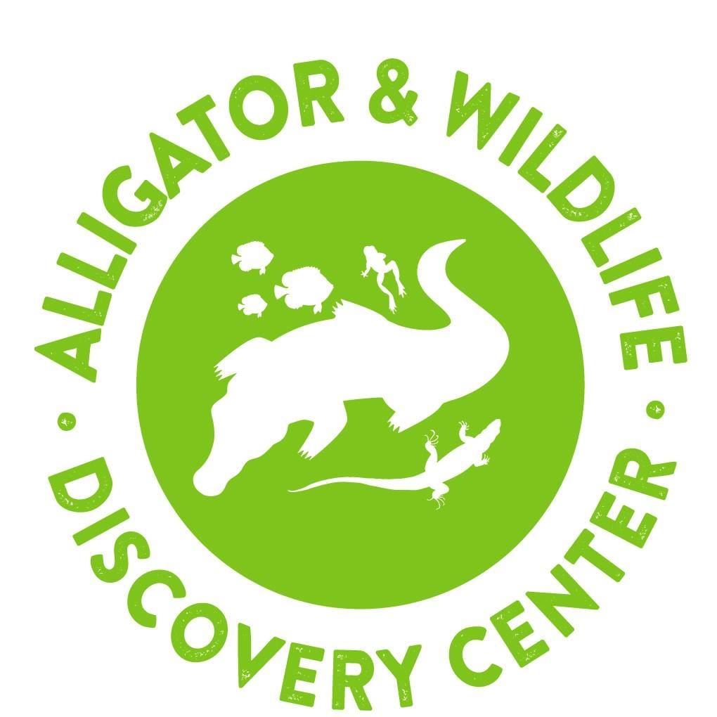 Image result for Alligator Attraction-Wildlife Learning Center