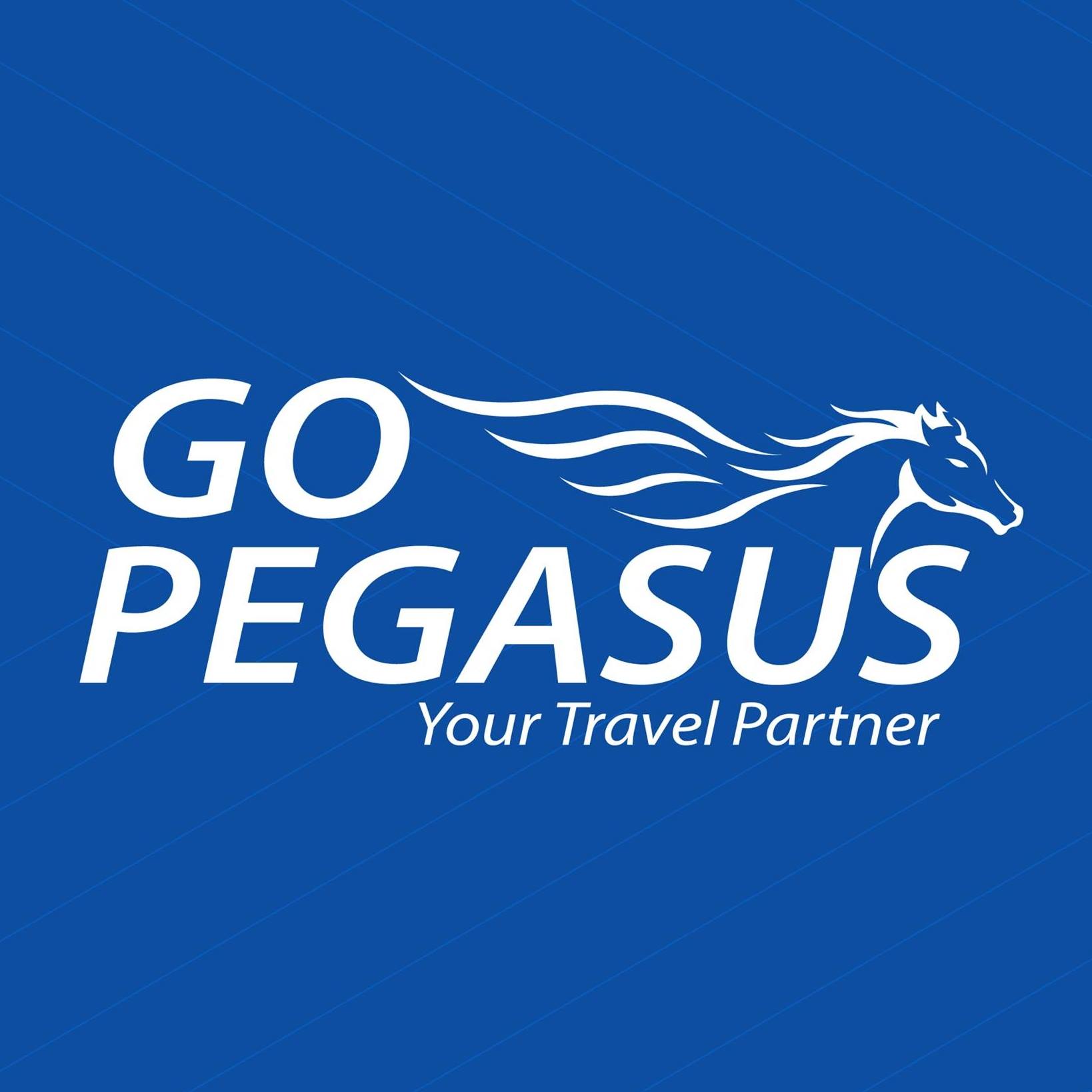 Image result for GoPegasus