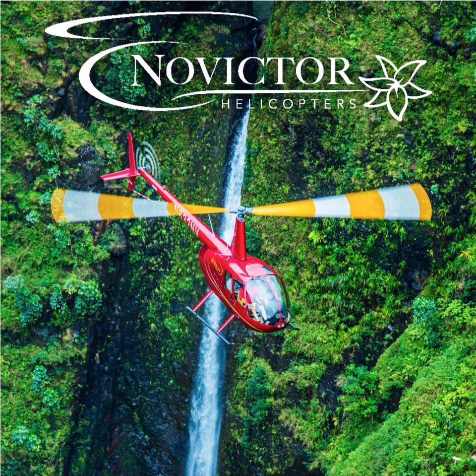 Image result for Novictor Helicopters