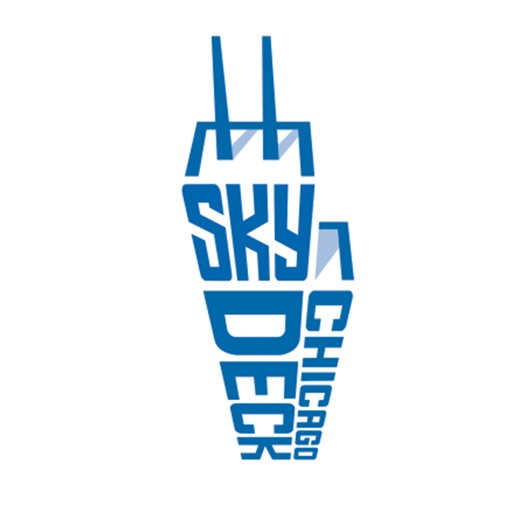 Image result for Skydeck Chicago