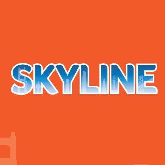 Image result for Skyline Sightseeing