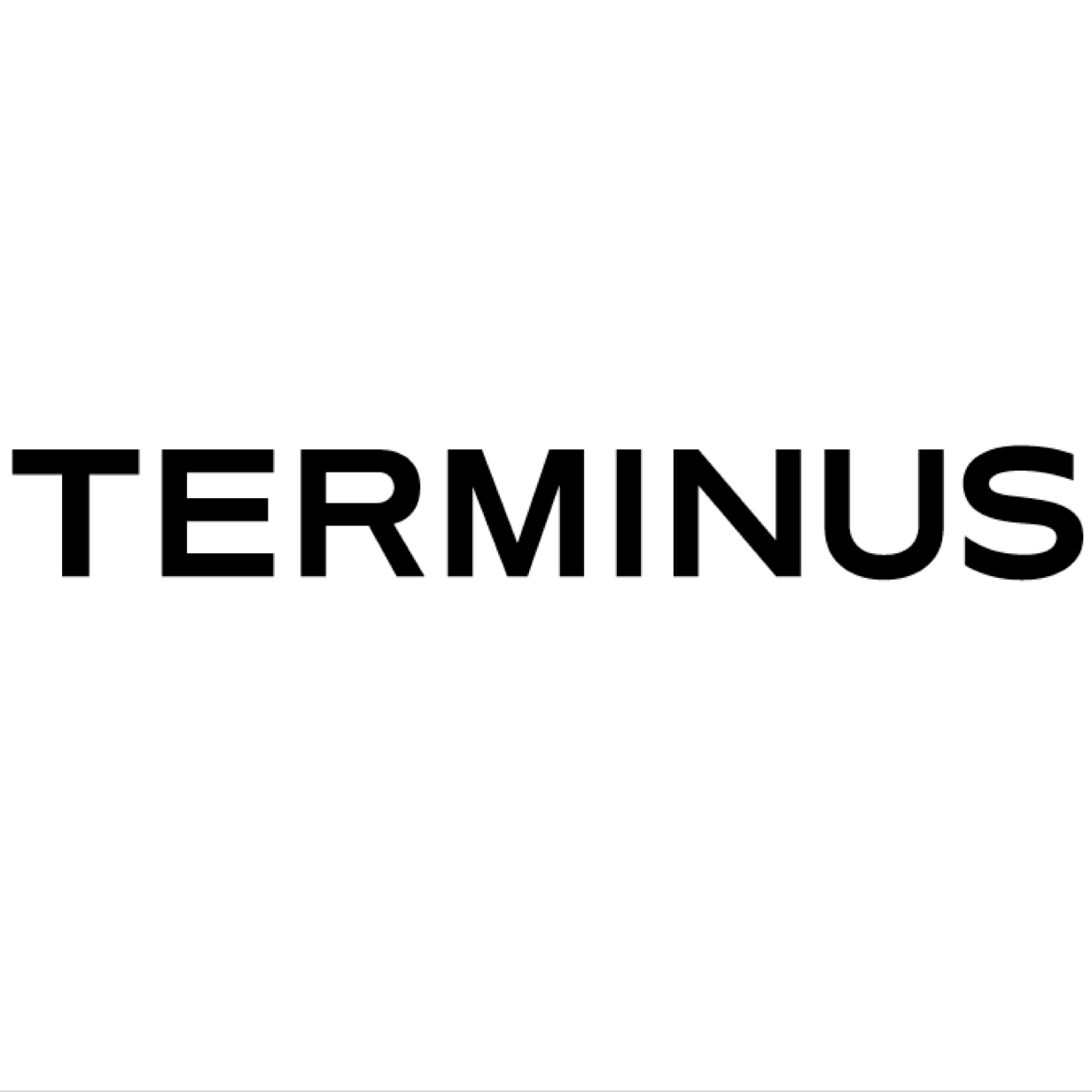 Image result for Terminus Group