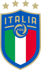 Image result for Federazione Italiana Giuoco Calcio