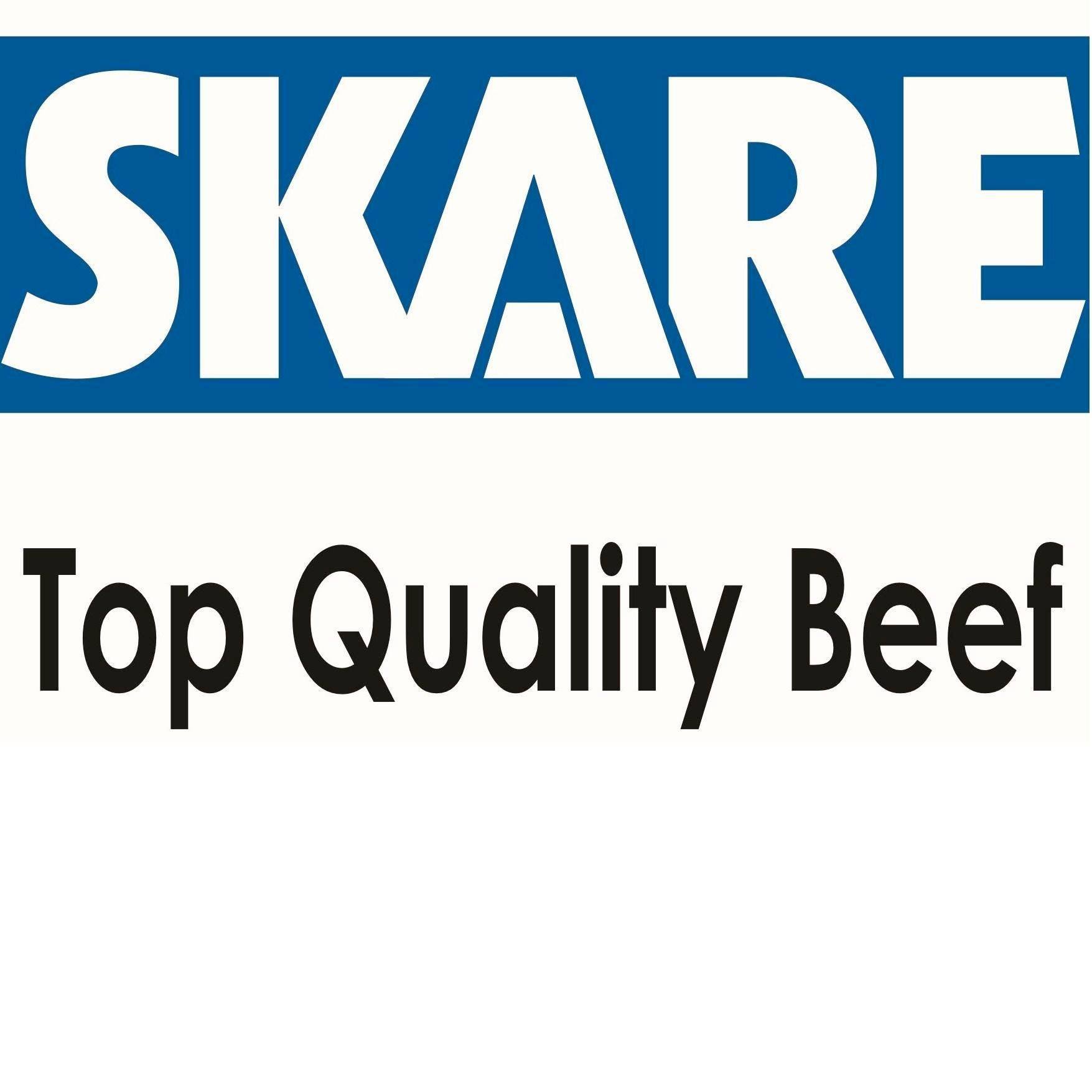 Image result for Skare Group