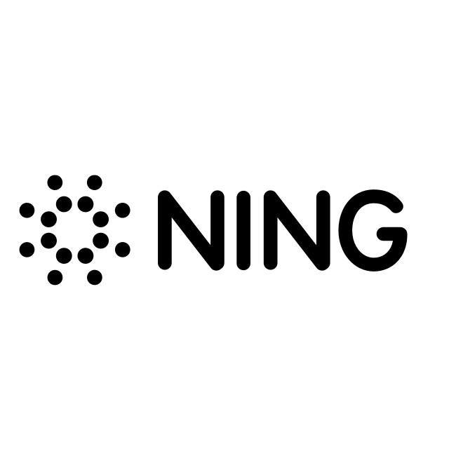 Image result for Ning