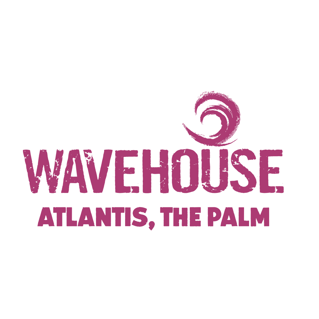 Image result for Wavehouse Dubai