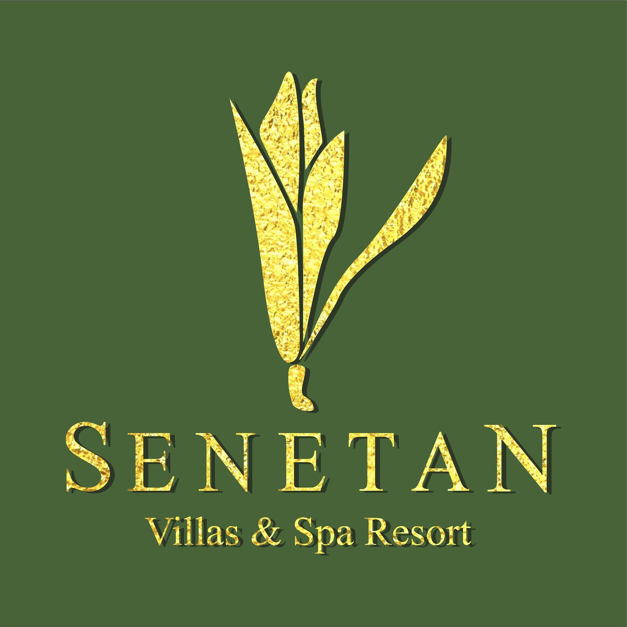 Image result for Senetan Villas and Spa Resort