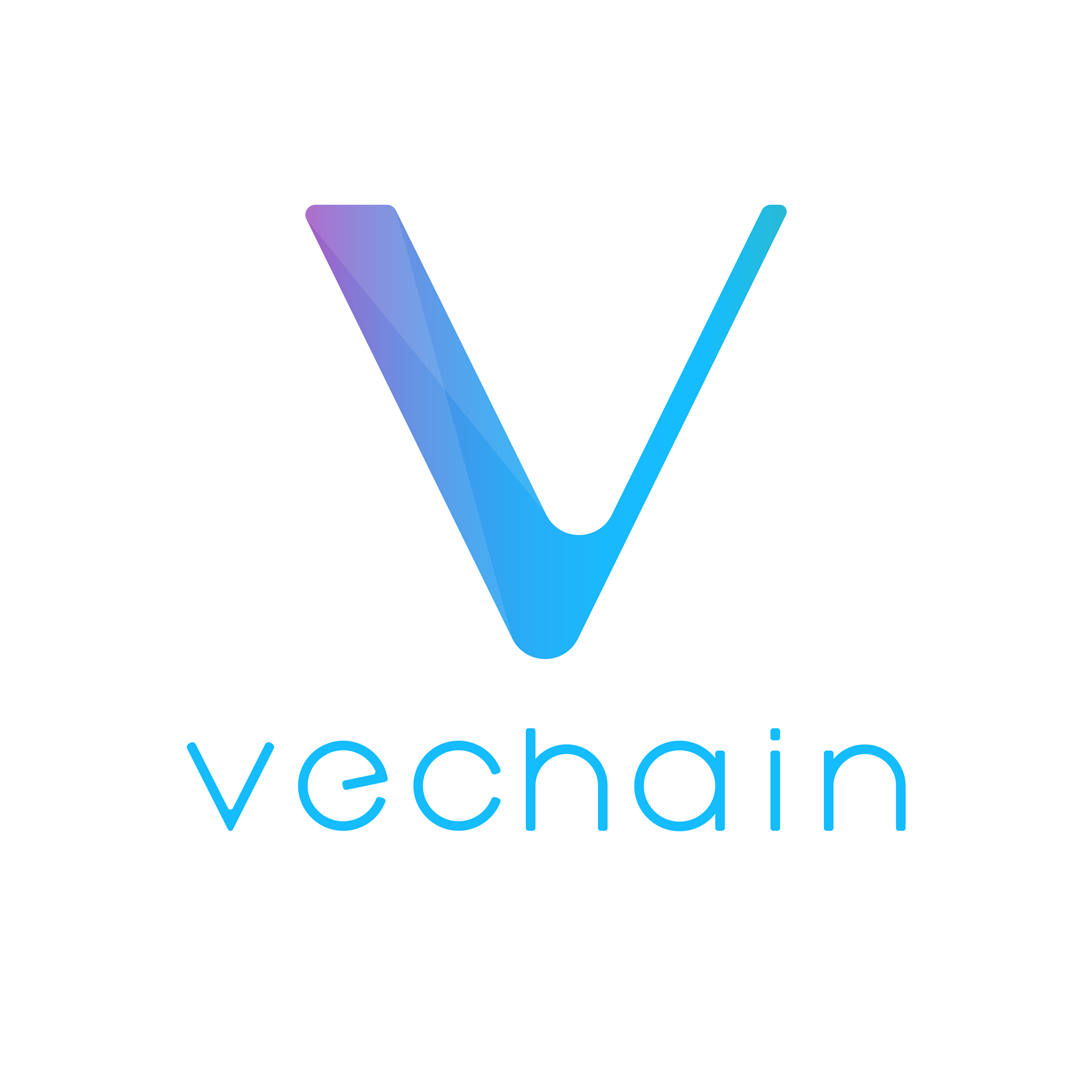 Image result for VeChain