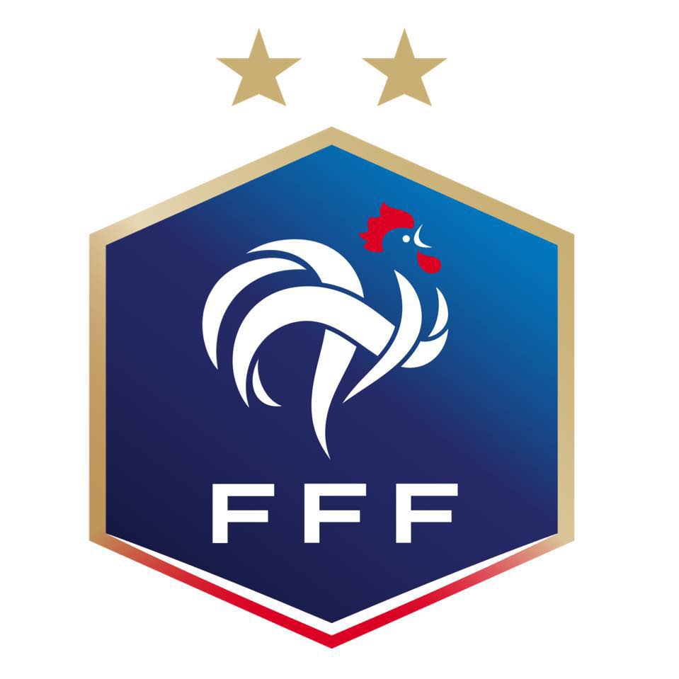 Image result for Fédération Française de Football