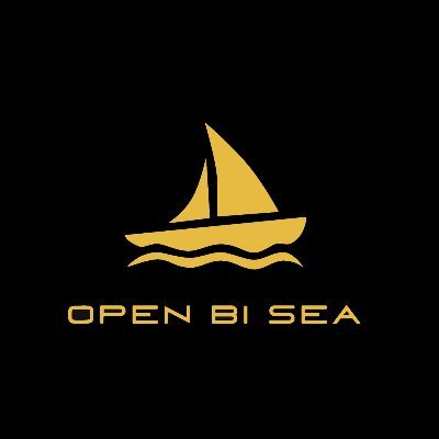 Image result for OpenBiSea