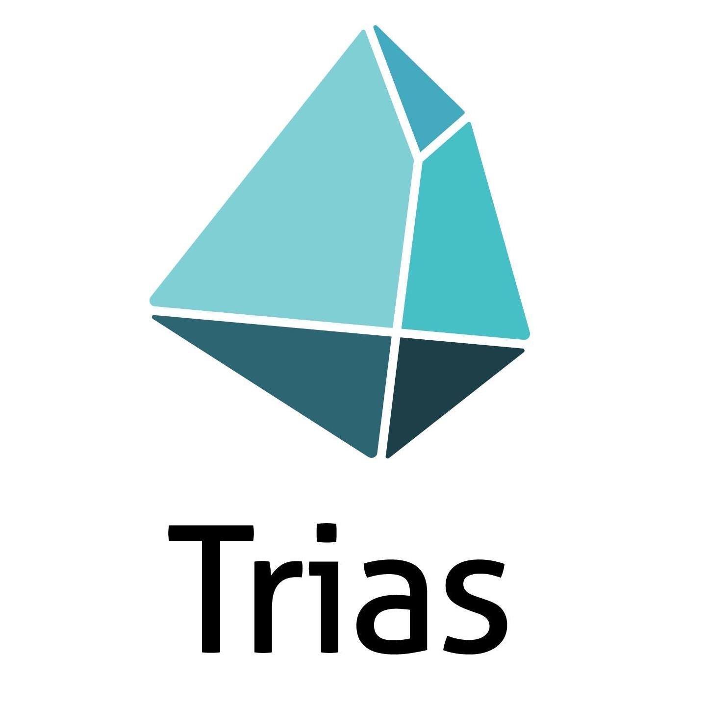 Image result for Trias 