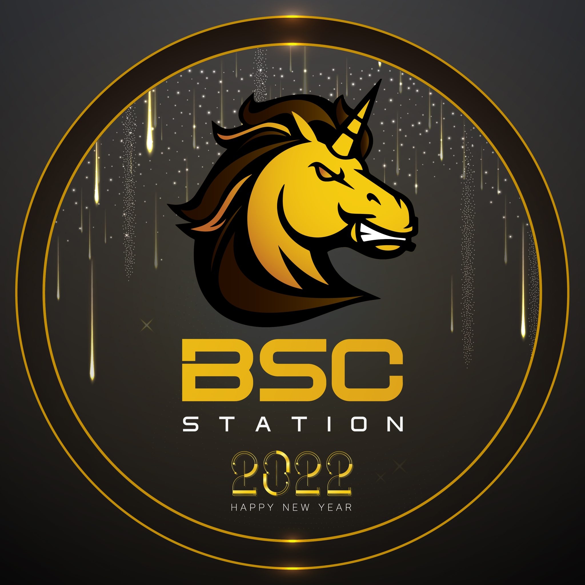 Image result for BSC Station