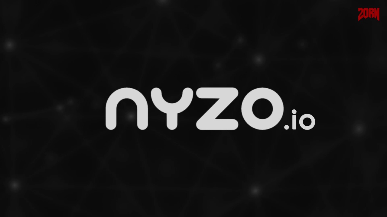 Image result for nyzo.io