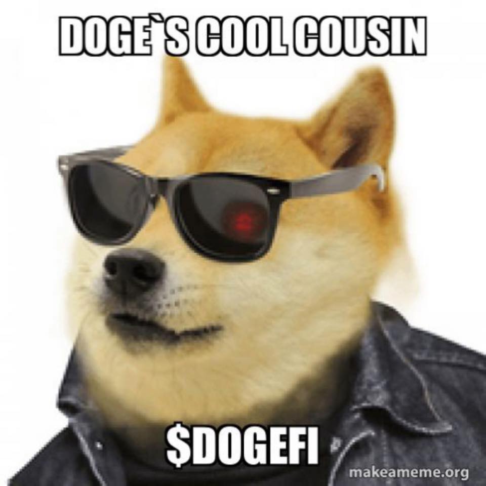 Image result for DOGEFI