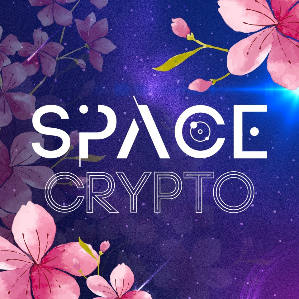 Image result for Space Crypto