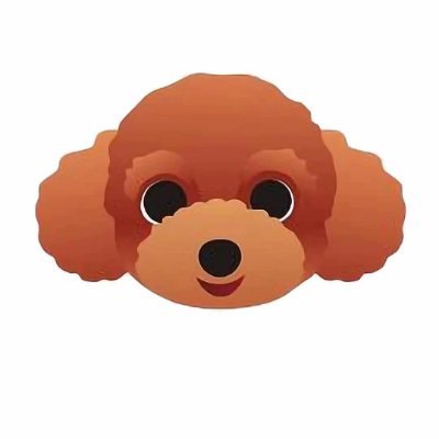 Image result for TeddyDog