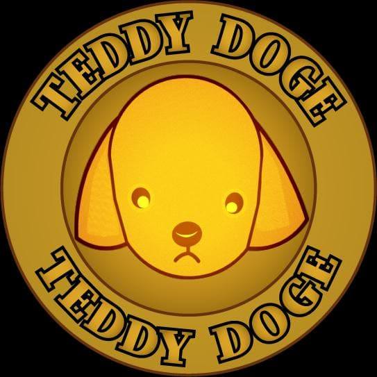 Image result for Teddy Doge