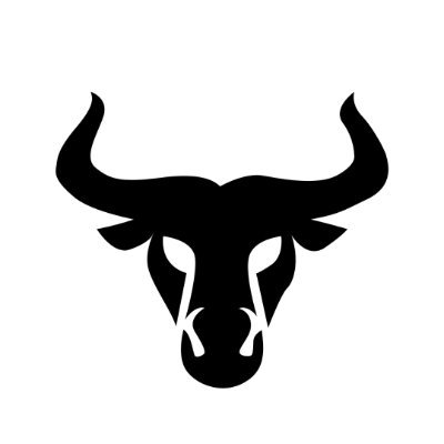 Image result for Ada Bulls Club