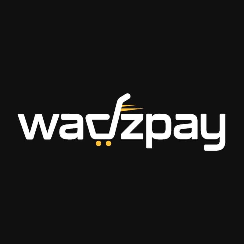 Image result for WadzPay Token