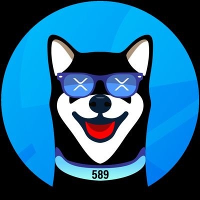 Image result for XRdoge