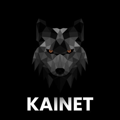 Image result for KAINET