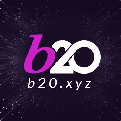 Image result for B20